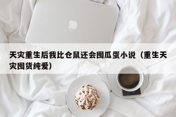 天灾重生后我比仓鼠还会囤瓜蛋小说（重生天灾囤货纯爱）