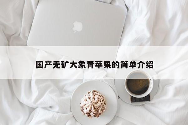 国产无矿大象青苹果的简单介绍