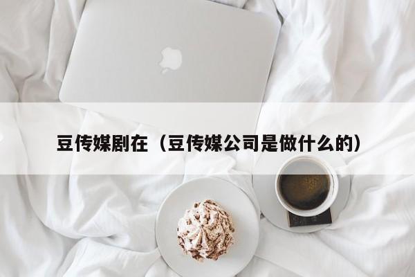 豆传媒剧在（豆传媒公司是做什么的）