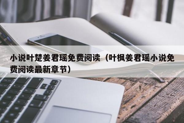 小说叶楚姜君瑶免费阅读（叶枫姜君瑶小说免费阅读最新章节）