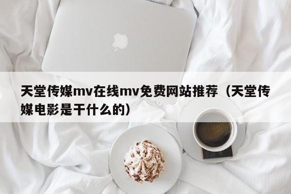 天堂传媒mv在线mv免费网站推荐（天堂传媒电影是干什么的）